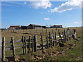 Fence near Manor Farm, Normanby