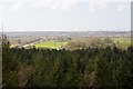 View from hilltop in Ramsdown Plantation looking towards Boscombe