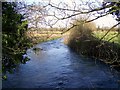 River Ebble, Homington