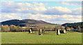 The Stone Circle at Rothiemay