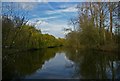 Lake in Parklands