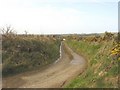 SH4689 : View west towards the A5025 along the Tyddyn-igin farm track by Eric Jones