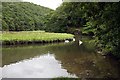 West Looe River at Shallow pool