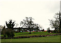 2008 : Hill House Farm near Buckland Dinham