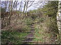 Footpath on Trackbed of ex Great Central Railway