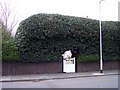 Hedge and Gate