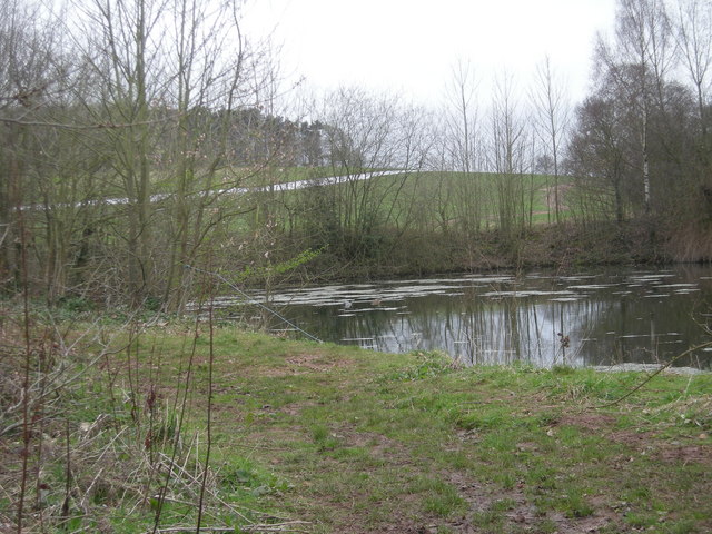 Small pond beside a field
