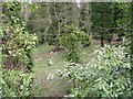 Strewing Ground - Rawdon Crematorium - Rawdon Road