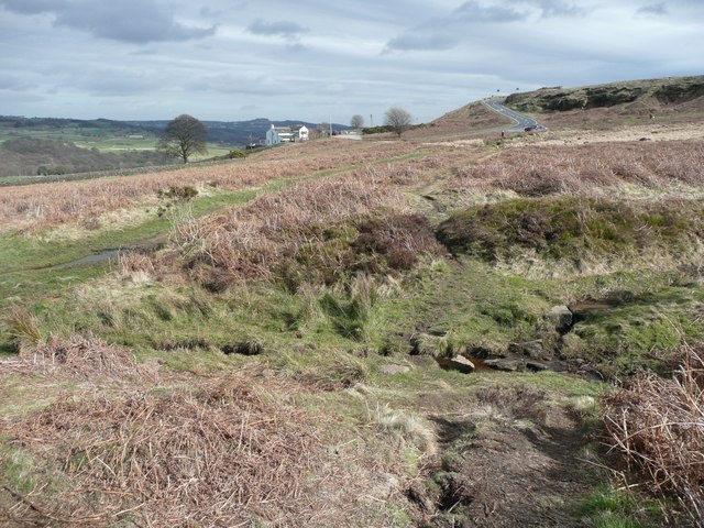 Stream on Baildon Moor © Humphrey Bolton :: Geograph Britain and Ireland