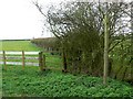 Footpath near powerlines, east of Abbots Morton