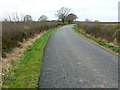 Road to Abberton, west of Radford