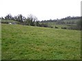 Drumcorban Townland