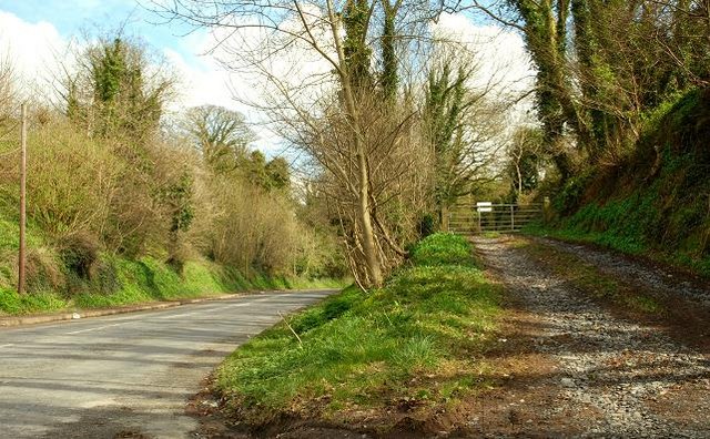 Road and lane near Dundonald