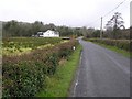 Road at Leitrim