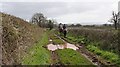 Bridleway to Chaceley