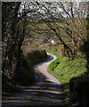 Lane at Amberley