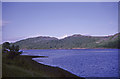 NM8111 : Shoreline, Kames Bay, Loch Melfort, Argyll & Bute by Christine Matthews