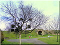 Rail bridge and Birch  tree