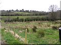 Drumskimly Townland