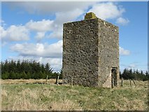 NT1854 : Tower in Deepsyke Forest by M J Richardson