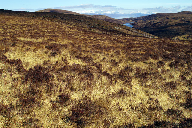 Moorland and Loch Lonachan