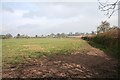 Pasture near Cowhills Farm