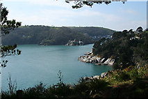 SX8950 : Kingswear: the mouth of the Dart by Martin Bodman