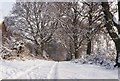 Snowscene at Ganger Farm Lane Romsey