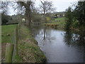 SO5781 : The pond at Stoke Court by Row17