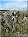 Grooved boulders, Birch Close Lane, Bingley