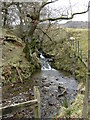 Moorland stream