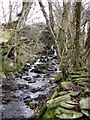 Hillside stream