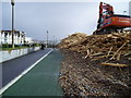 Wood pile beside Cycleway