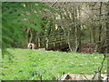 Footbridge over Hopton Brook