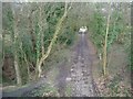 View from Strines aqueduct, Peak Forest Canal