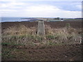 NO5100 : The Trig Point by Sandy Gemmill