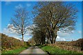 The Ballyclander Road near Downpatrick (3)