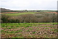 Farmland and Woodland