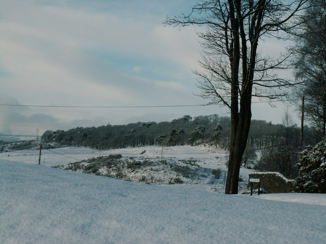 Craigmarloch Wood in the snow