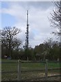 Radio Masts at Epping Green