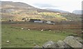 Intake land on the hillsides above the village of Deiniolen