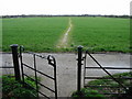 Footpath across the field to Tyler Hill