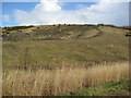 SK4667 : Stockley Trail - Hillside View by Alan Heardman