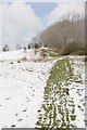 SU6022 : Path along the top of Beacon Hill after April snow by Peter Facey