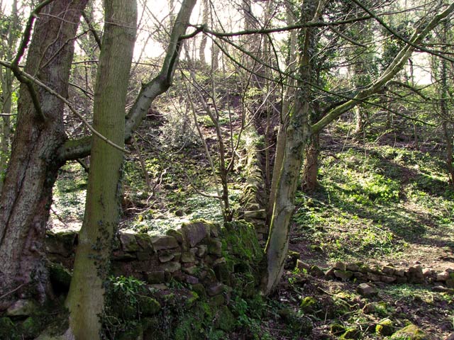 Old wall in Pleasley Vale