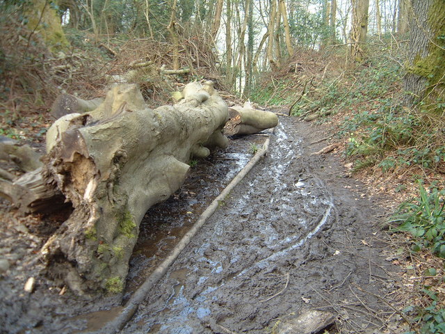 Muddy track to the Devil's Pulpit