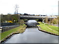 The Sheffield and Tinsley Canal