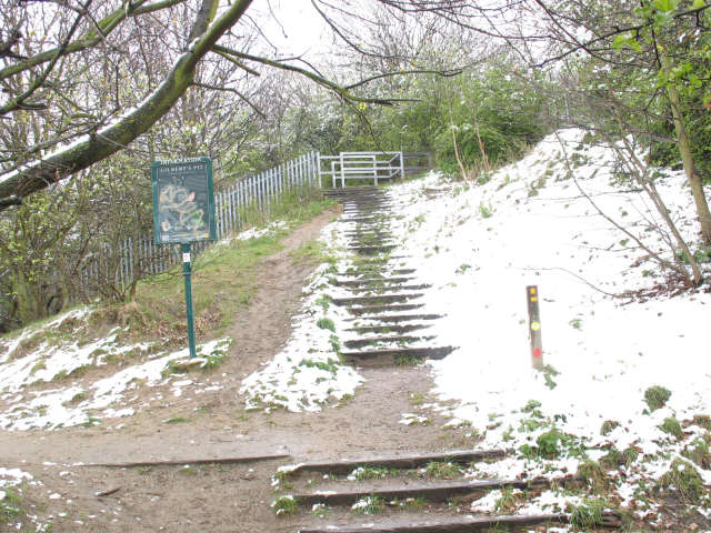 Steps to Gilbert's Pit