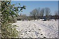 A snow covered Lake View Park