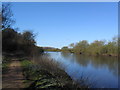 The Trent below Clifton Grove